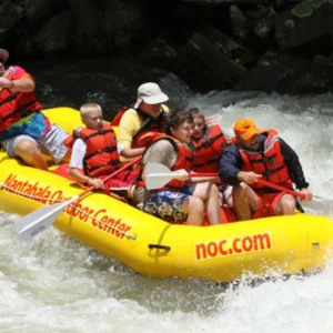 noc4